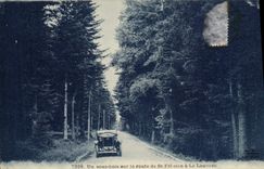 CPA Un sous bois sur la route de St Fel olen a La Louvesc Automobiel