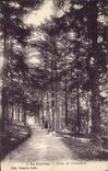 CPA La Louvesc Allee de Versailles 