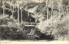 CPA La Louvesc La Petite Sisse et le Pont des Soupirs 