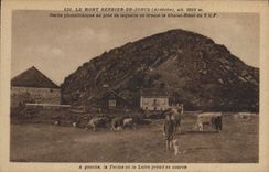 CPA Le Mont Gerbier des Joncs (Ardeche) alt 1551 m Gerbe phonolithique au pied de laquelle sa dresse