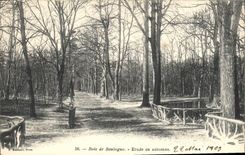 CPA Paris Bois de Boulogne Etude en autonne