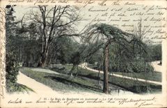 CPA Les Bois de Boulogne en Automne Le Parc Catelan
