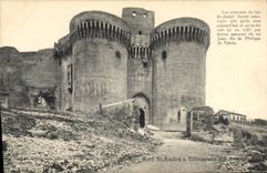 CPA Villeneuve les Avignon Fort St Andre