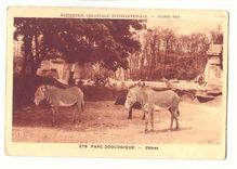 CPA Parc zoologique Zebres Exposition coloniale internationale Paris 1931