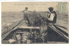 Les Sables d'Olonne CPA Pecheurs de sardines