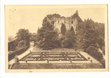 Langeais CPA Ruines du chateau