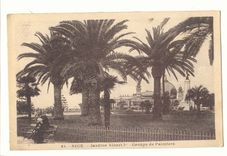 Nice CPA Jardins Albert 1er Groupe de palmiers