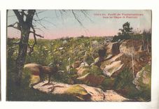 Fontainebleau CPA Foret Dans les gorges de Franchard (cerf chevreuil)