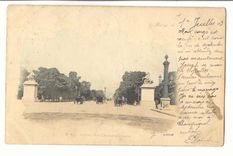 Paris (8eme) CPA Avenue des Champs Elysees
