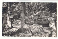Les grottes d'Arcy sur Cure CPA Entree de la grotte