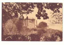 Pau CPA Le chateau Henri IV vu du parc national
