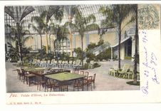 Pau CPA Palais d'hiver La palmarium