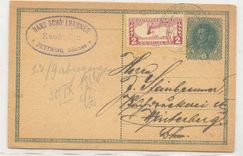 Austria 1919 QE 3 special handling stamp perf 11 1/2 one postal card (letter osterreich briefe stationary Austria)